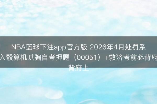 NBA篮球下注app官方版 2026年4月处罚系统入彀算机哄骗自考押题（00051）+救济考前必背府上