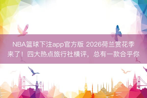 NBA篮球下注app官方版 2026荷兰赏花季来了！四大热点旅行社横评，总有一款合乎你
