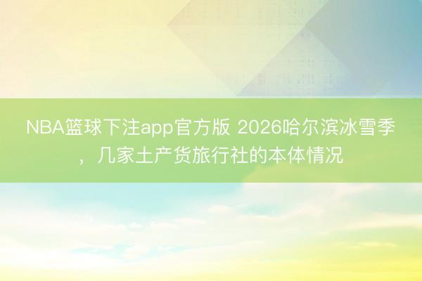 NBA篮球下注app官方版 2026哈尔滨冰雪季，几家土产货旅行社的本体情况