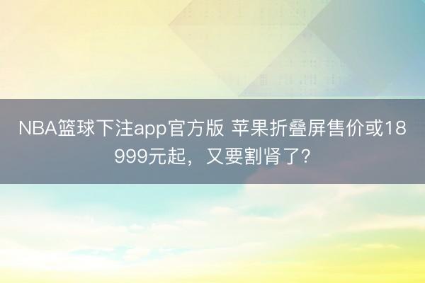 NBA篮球下注app官方版 苹果折叠屏售价或18999元起，又要割肾了？